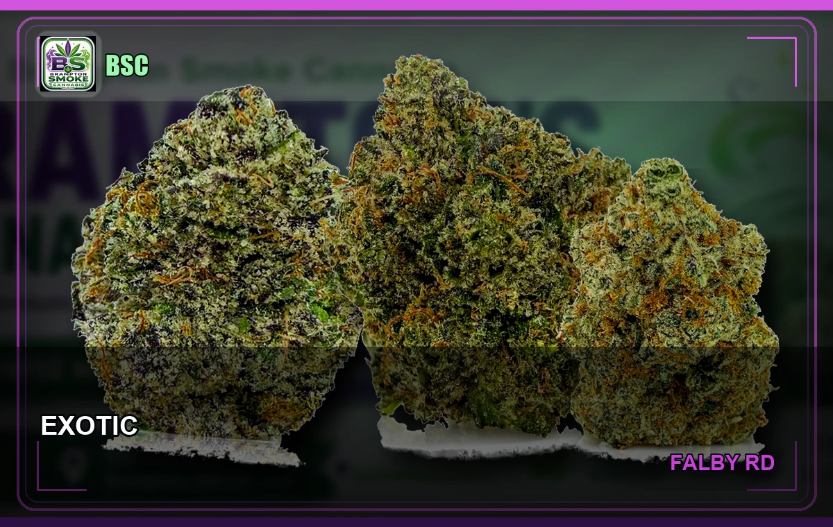 EXOTICS Brampton Smoke Cannabis banner
